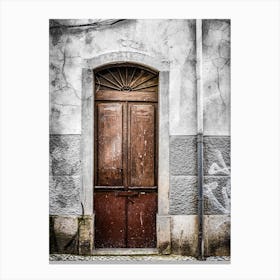 Old Door Canvas Print