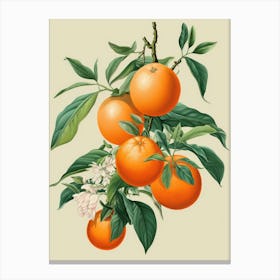 Oranges On A Branch 4 Canvas Print