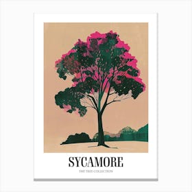 Sycamore Tree Colourful Illustration 3 Poster Canvas Print