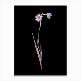 Stained Glass Sword Lily Mosaic Botanical Illustration on Black n.0205 Canvas Print
