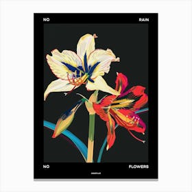 No Rain No Flowers Poster Amaryllis 2 Canvas Print