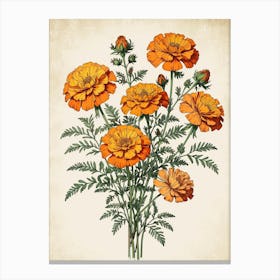 Orange Carnations Canvas Print