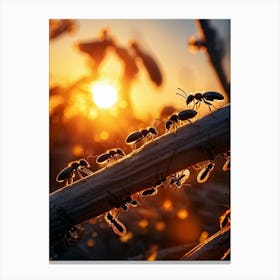 Ant Colony Collaboratively Foraging Under The Glowing Blaze Of A Setting Sun With Elongated Shadows (2) 2 Canvas Print