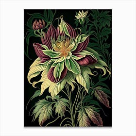Dahlia Imperialis 2 Floral Botanical Vintage Poster Flower Canvas Print