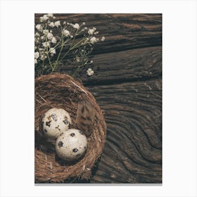 Nest With Eggs And Flowers Canvas Print