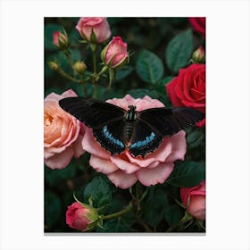 Butterfly On Roses 2 Canvas Print