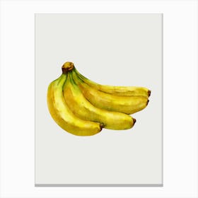 Bananas Canvas Print