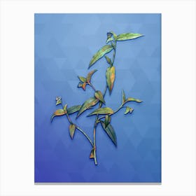 Vintage Tagblume Botanical Art on Blue Perennial n.0988 Canvas Print