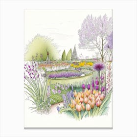 Keukenhof Gardens, Netherlands Vintage Pencil Drawing Canvas Print