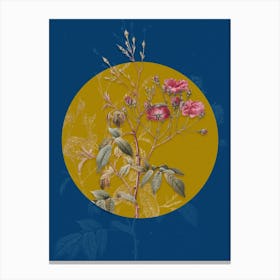 Vintage Botanical Pink Noisette Roses on Circle Yellow on Blue n.0017 Canvas Print