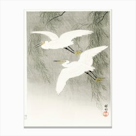 Little Egrets In Flight (1925 1936), Ohara Koson Canvas Print