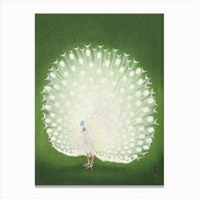 White Peacock, Vintage Asian Canvas Print