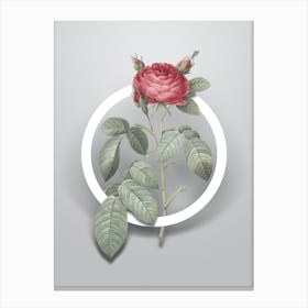 Vintage Red Gallic Rose Minimalist Botanical Geometric Circle on Soft Gray n.0525 Canvas Print