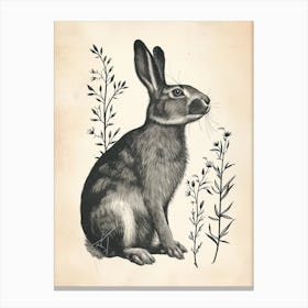 Californian Blockprint Rabbit Illustration 2 Canvas Print