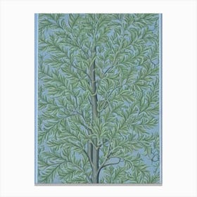 American Elm 2 tree Vintage Botanical Canvas Print