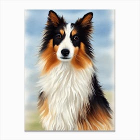 Shetland Sheepdog 4 Watercolour dog Canvas Print
