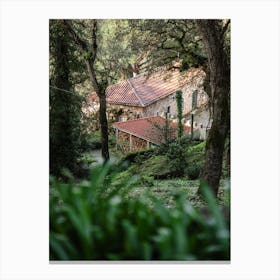 Rural Tranquility Sintra Forest Farmhouse Canvas Print