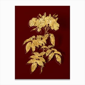 Vintage Musk Rose Botanical in Gold on Red n.0356 Canvas Print
