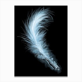 Like A Feather Diving Canvas Print