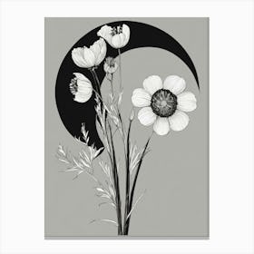 Moonflowers Canvas Print