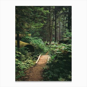 A Walk in the Woods II Canvas Print