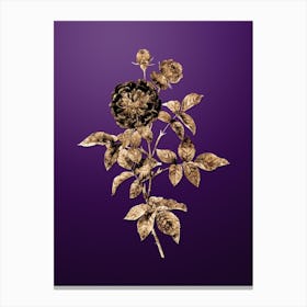 Gold Botanical One Hundred Leaved Rose on Royal Purple n.4118 Canvas Print