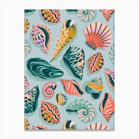 Sublime Seashells Canvas Print