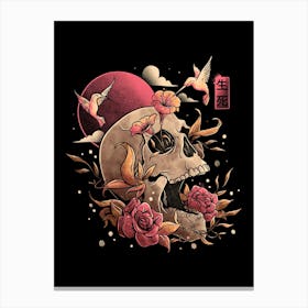 Life And Death  Canvas Print