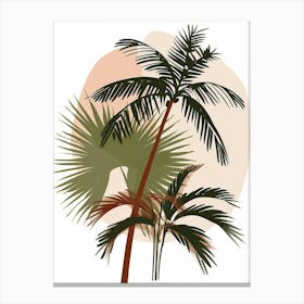 Palm Trees 57 Canvas Print