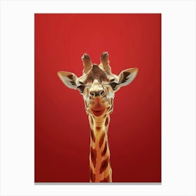 Giraffe 94 Canvas Print