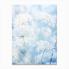 Frosty Botanical Queen Annes Lace 3 Canvas Print