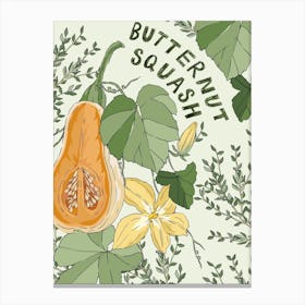 Butternut Squash Canvas Print