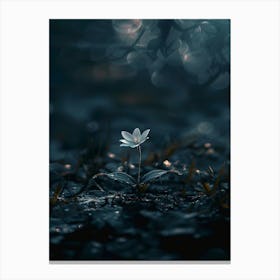 Flower In The Dark 83 Canvas Print