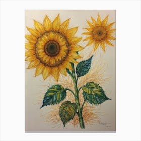 Sunflowers 12 Canvas Print