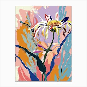 Colourful Flower Illustration Asters 6 Canvas Print