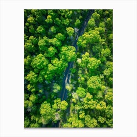 Aerial View Of A Forest 2 Canvas Print