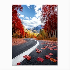 Beautiful Road In Autumn 16 Canvas Print