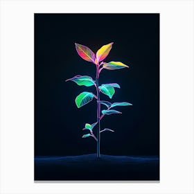 Plant Grows In The Dark 2 Canvas Print