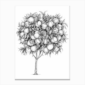 Peach Tree Minimalistic Drawing 3 Canvas Print