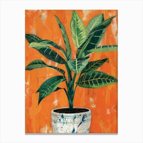 Potted Plant 14 Canvas Print