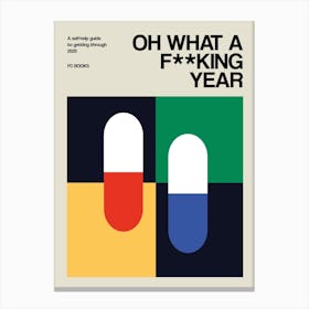 Oh What A Fking Year Canvas Print