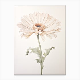 Pressed Flower Botanical Art Gerbera Daisy 1 Canvas Print