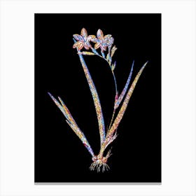 Stained Glass Gladiolus Cardinalis Mosaic Botanical Illustration on Black n.0320 Canvas Print