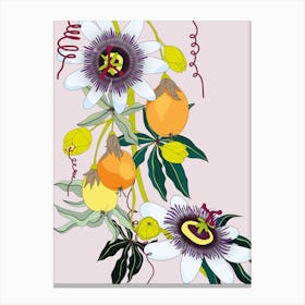 Passionfruit Flower Canvas Print