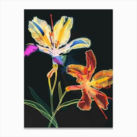 Neon Flowers On Black Portulaca 2 Canvas Print