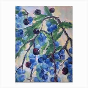 Elderberry 2 Classic Fruit Canvas Print