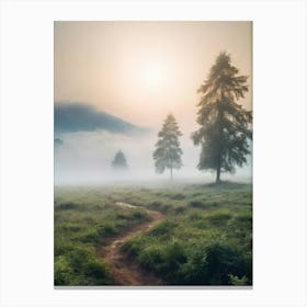 Misty Morning In The Mountains Canvas Print