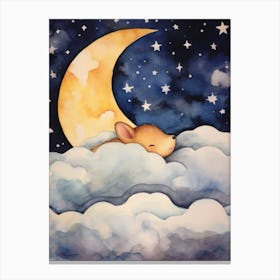 Baby Shrew Sleeping In The Clouds Canvas Print