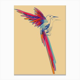 Hummingbird002 Canvas Print