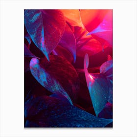 Abstract Background Of Leaves Canvas Print